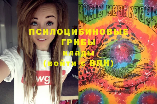 сатива Дмитров