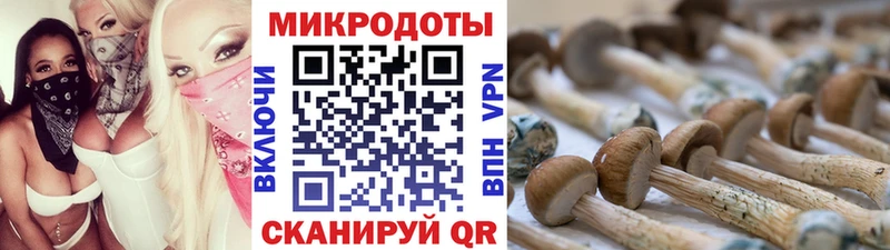 Купить Канск Псилоцибиновые грибы MAGIC MUSHROOMS